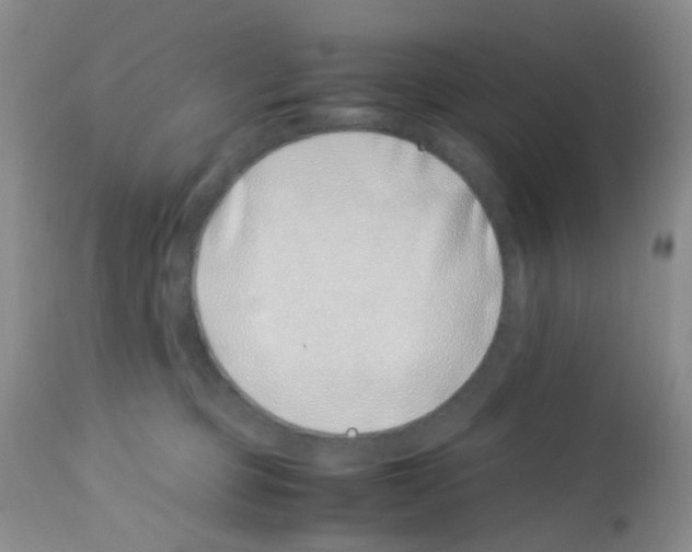 X0000113090373200910091303