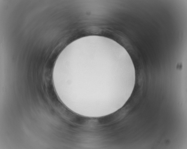 X0000113090374200910091303