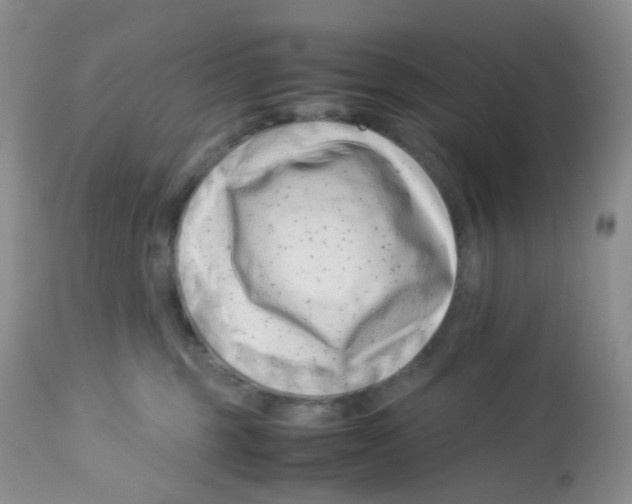 X0000113090375200910091303