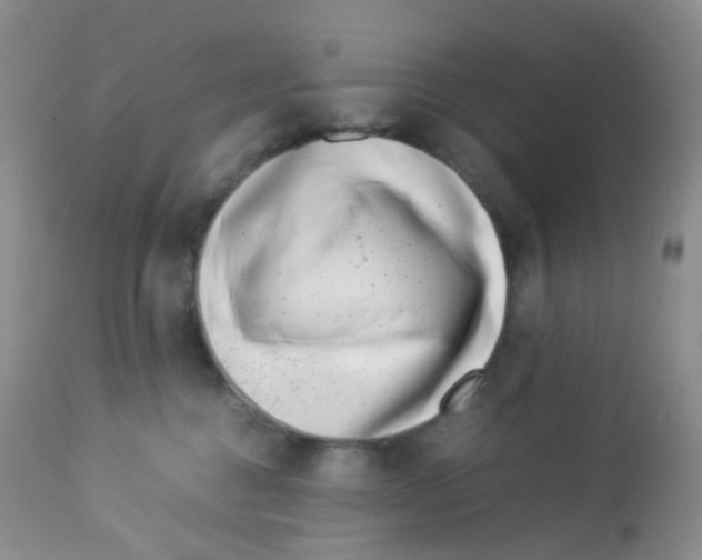 X0000113090376200910091303