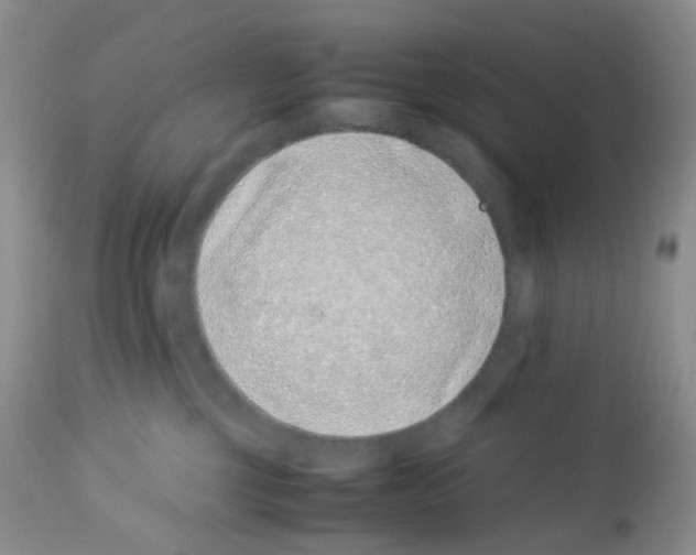 X0000113090377200910091303
