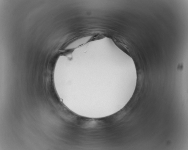 X0000113090379200910091303