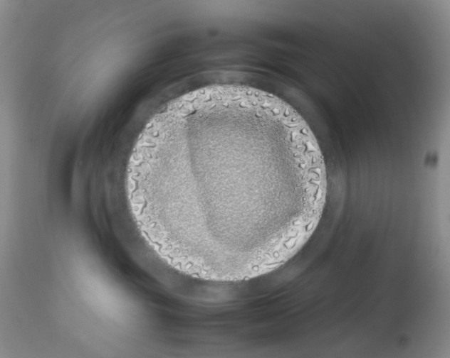 X0000113090381200910091303