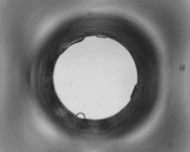 X0000113090382200910091303