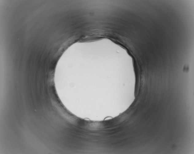 X0000113090383200910091303