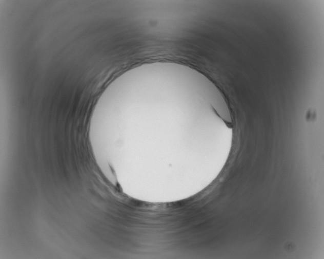 X0000113090384200910091303