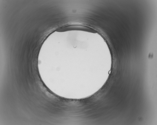 X0000113090385200910091302
