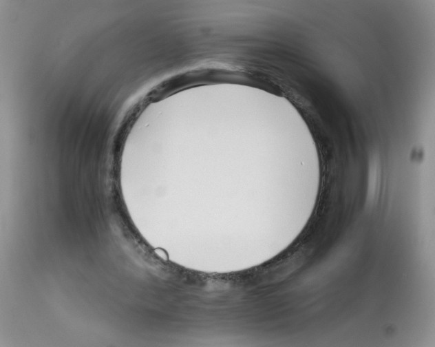 X0000113090388200910091302