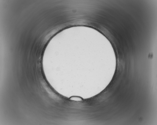 X0000113090389200910091302