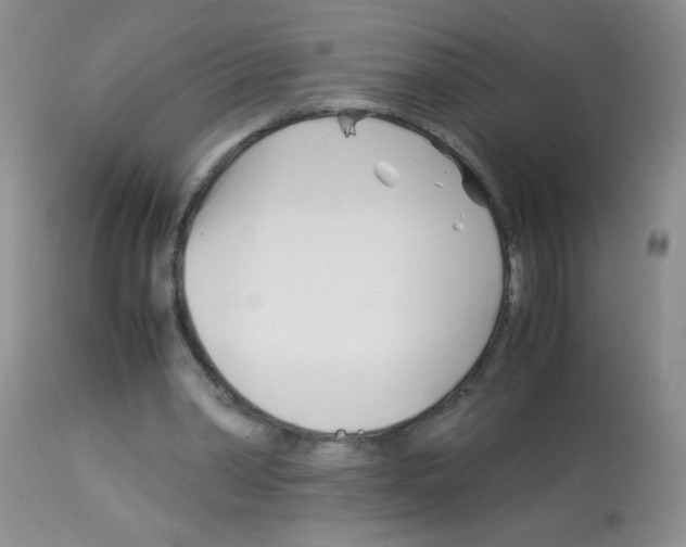 X0000113090390200910091302