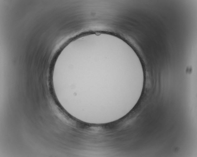 X0000113090391200910091302