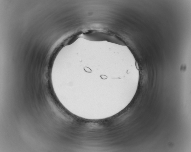 X0000113090392200910091302