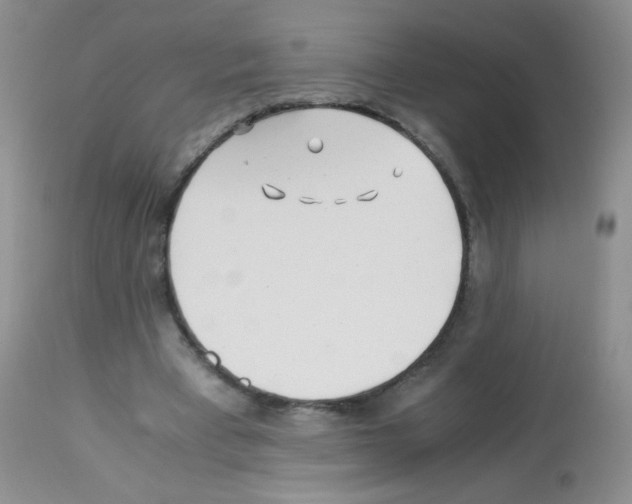 X0000113090393200910091302
