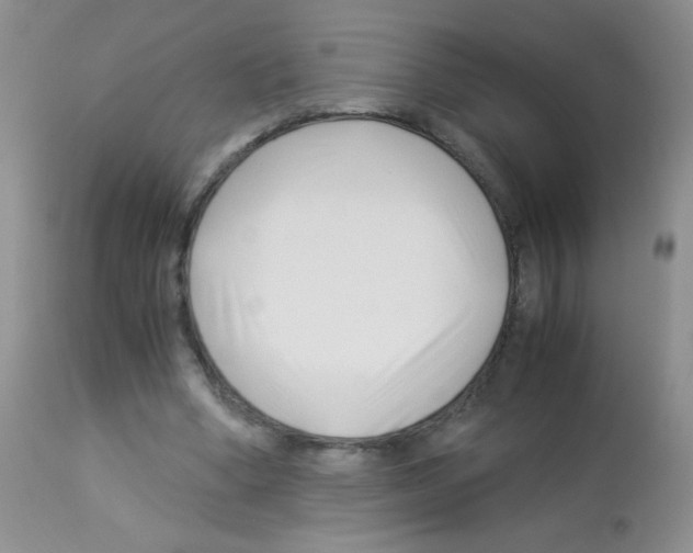X0000113090394200910091302