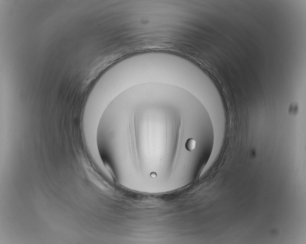 X0000113090397200910091302