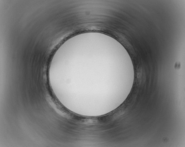 X0000113090398200910091302