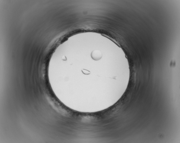 X0000113090400200910091302