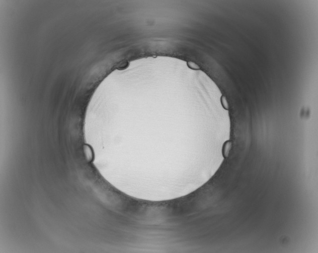 X0000113090401200910091302