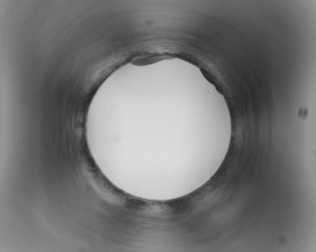 X0000113090402200910091302