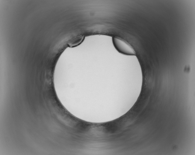X0000113090403200910091302