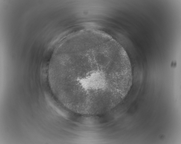 X0000113090405200910091302
