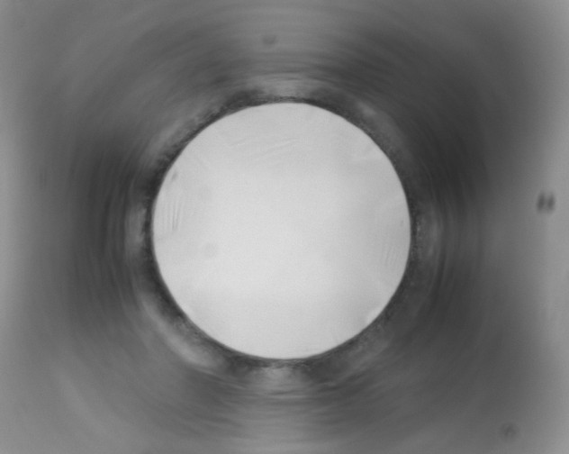 X0000113090406200910091302