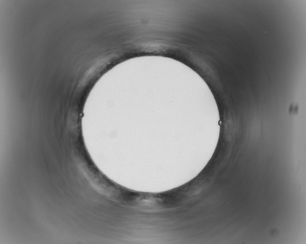 X0000113090407200910091302