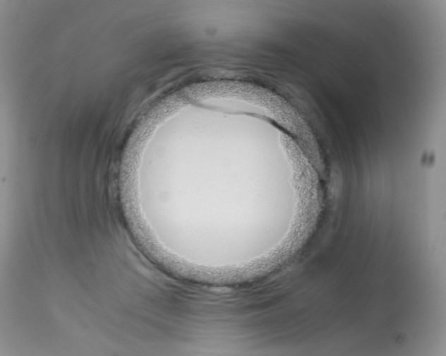 X0000113090409200910091302
