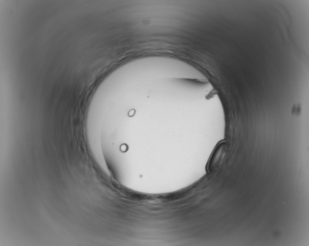 X0000113090411200910091302