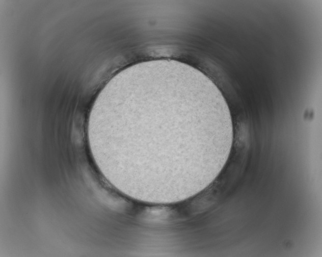 X0000113090414200910091302