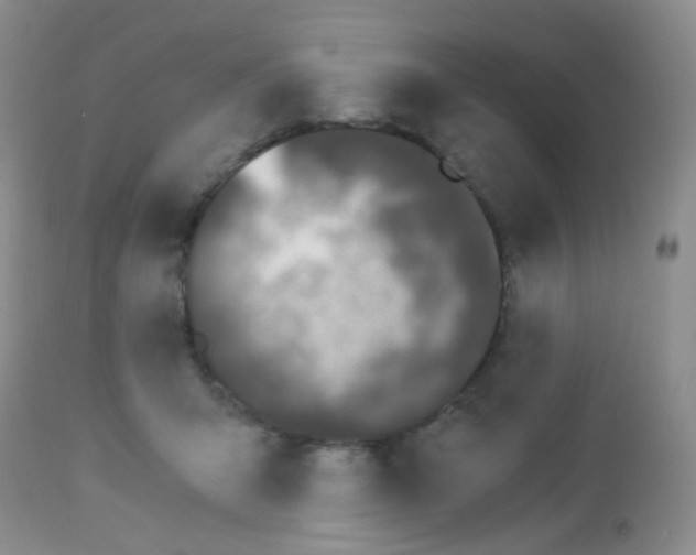 X0000113090415200910091302