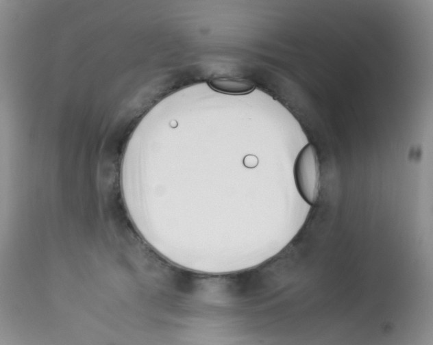 X0000113090417200910091302