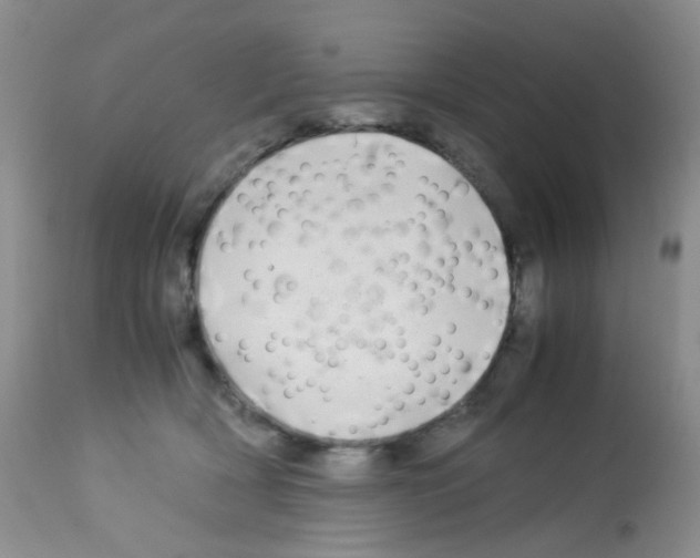 X0000113090418200910091302