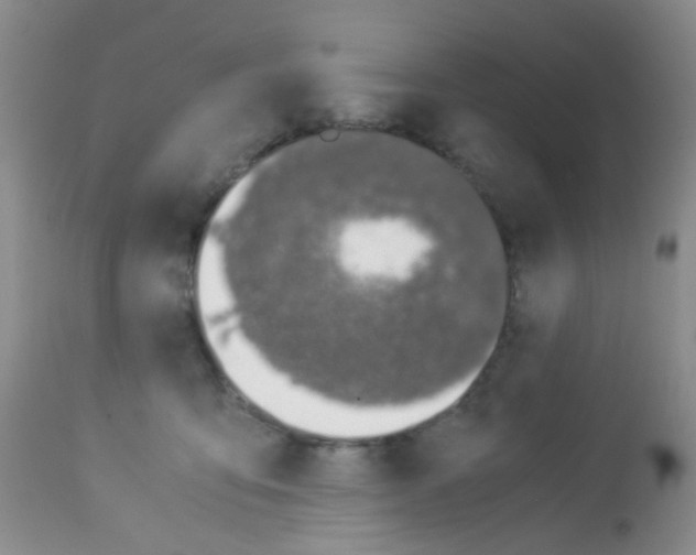 X0000113090419200910091302