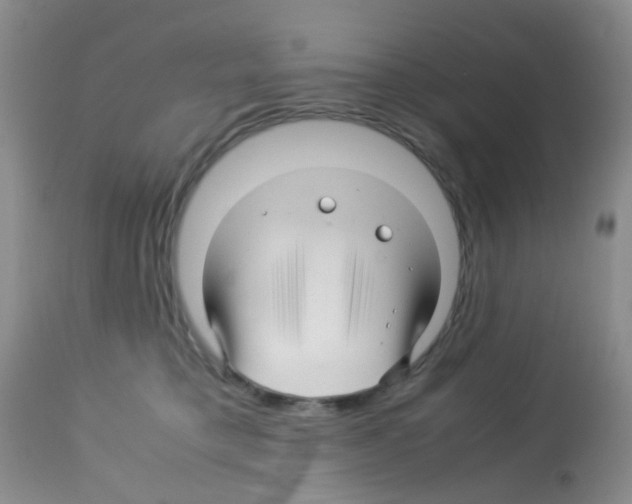 X0000113090421200910091302