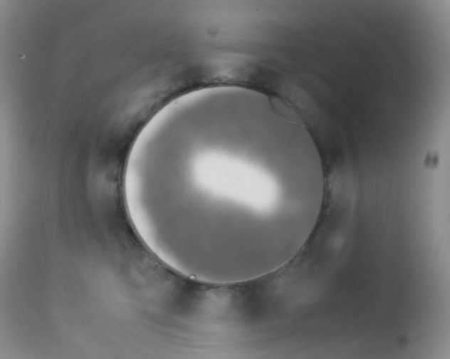 X0000113090423200910091302