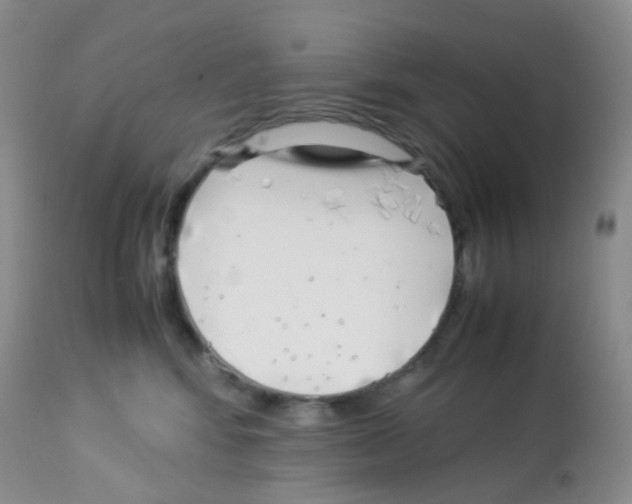 X0000113090424200910091302