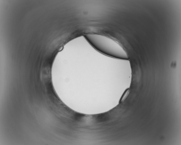 X0000113090425200910091302