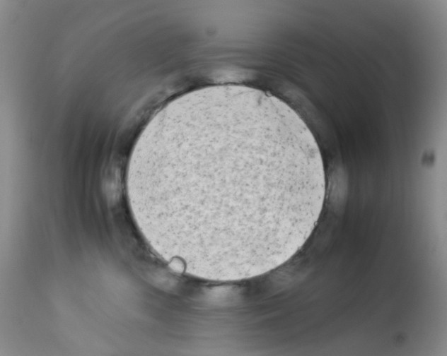 X0000113090426200910091302