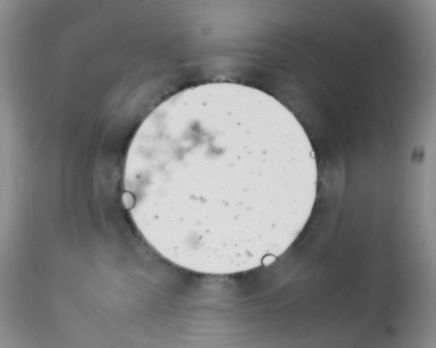 X0000113090427200910091302