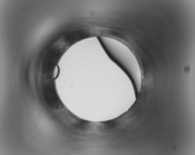 X0000113090429200910091302