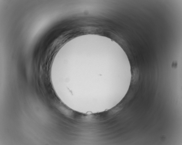 X0000113090430200910091302