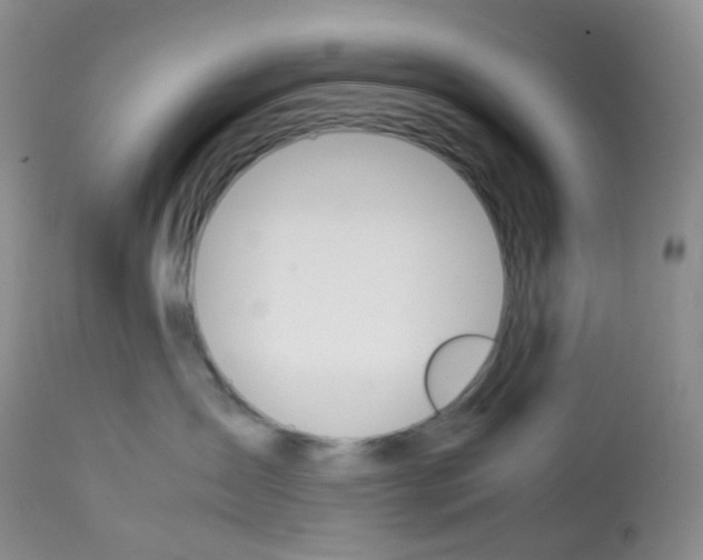 X0000113090431200910091302