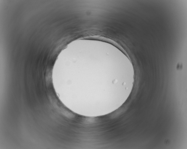 X0000113090432200910091302