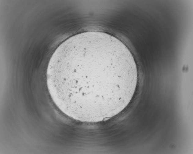 X0000113090433200910091301