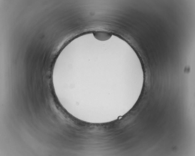X0000113090434200910091301