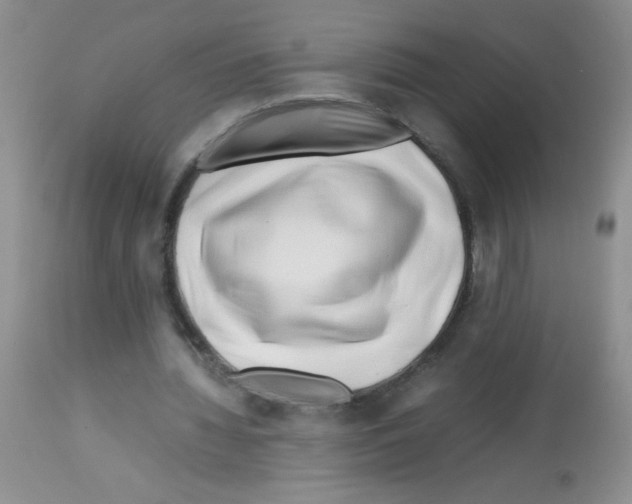 X0000113090436200910091301