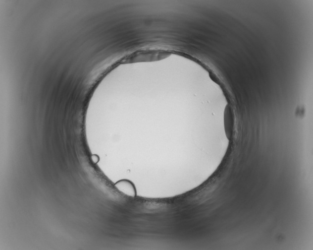 X0000113090437200910091301