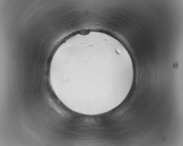 X0000113090439200910091301