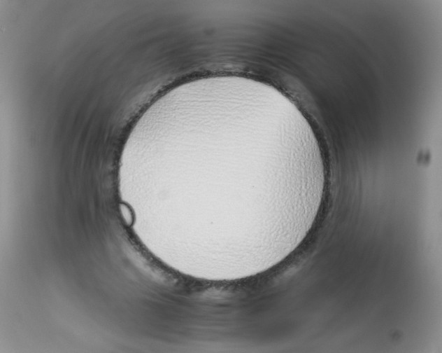 X0000113090441200910091301
